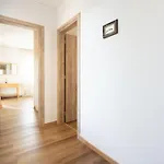 فيلة Anthodesmi *
