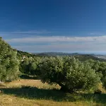Anthodesmi Dilináta