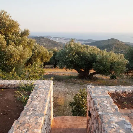 فيلة Anthodesmi *