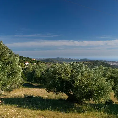 Anthodesmi Dilináta